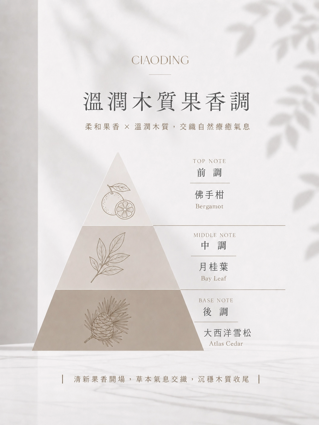 豐盈潤澤洗髮精800ml
