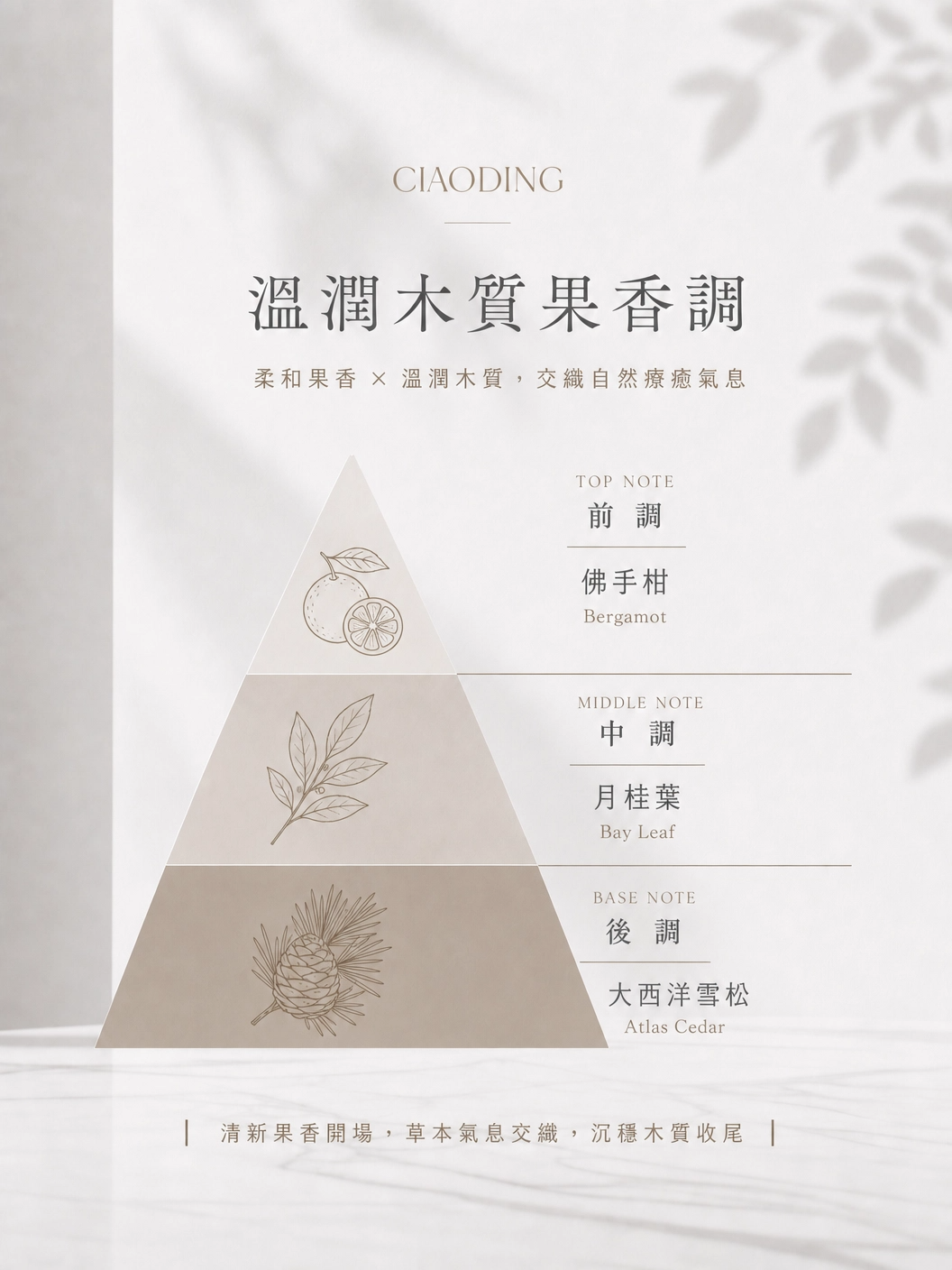 豐盈潤澤洗髮精800ml