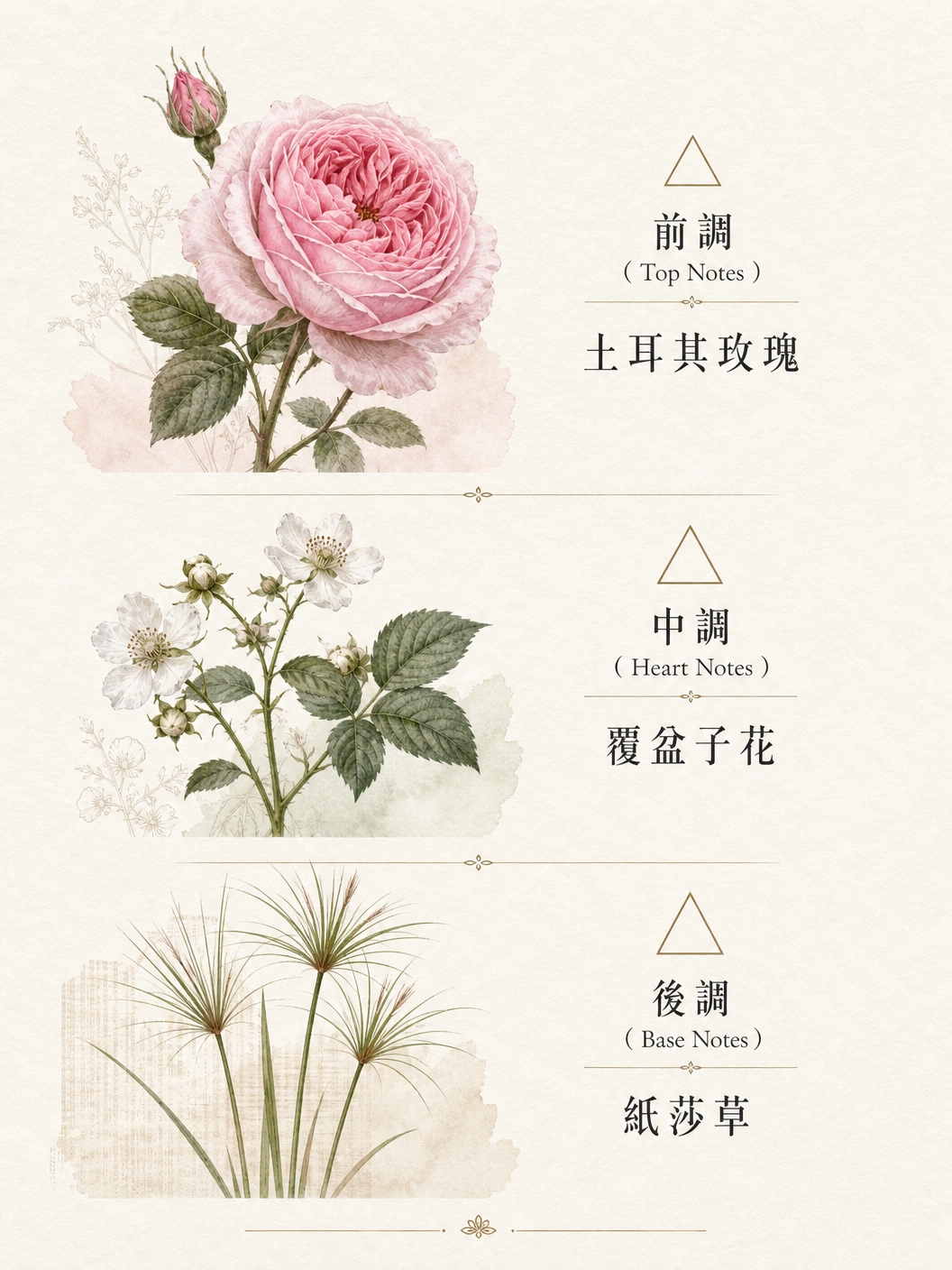 賦活高蛋白護髮膜1000ml